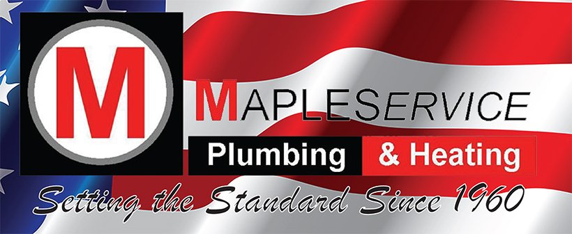 MAPLEService's profile banner image