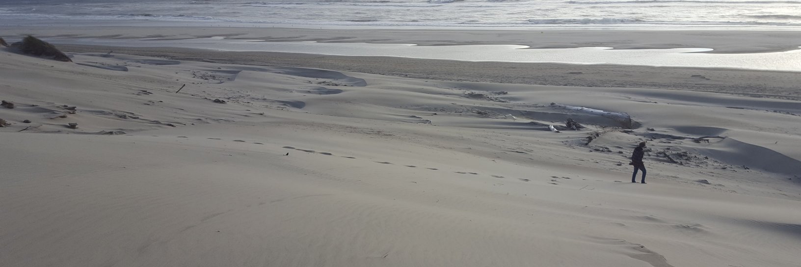 BinToss 💙💛 banner