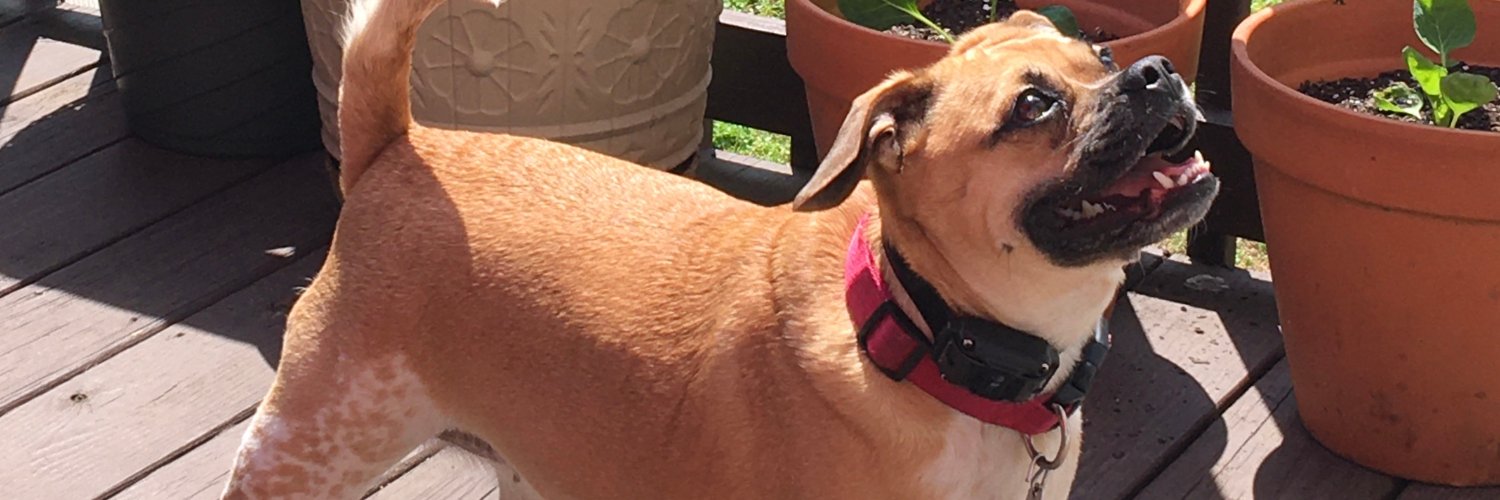 hisbeby's profile banner image