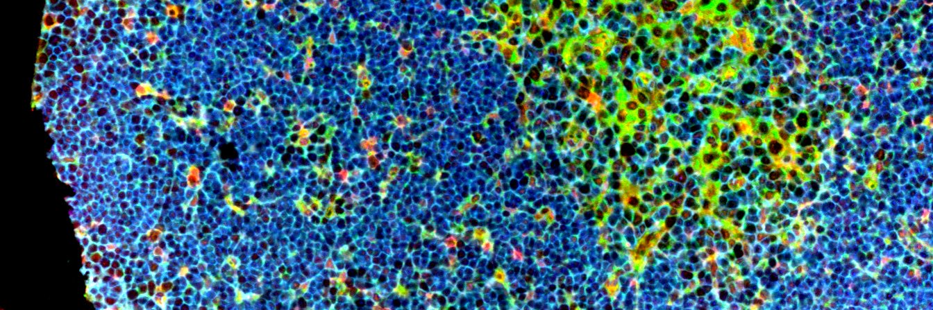 The__Sci's profile banner image