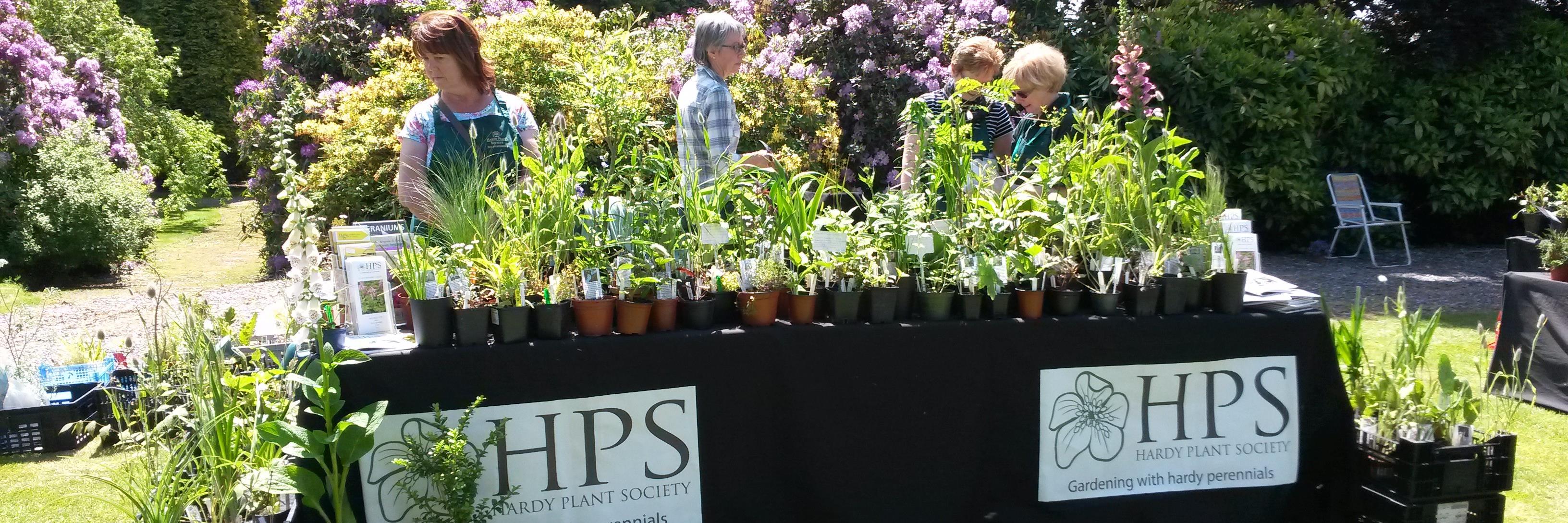 Hardy Plants Staffs banner