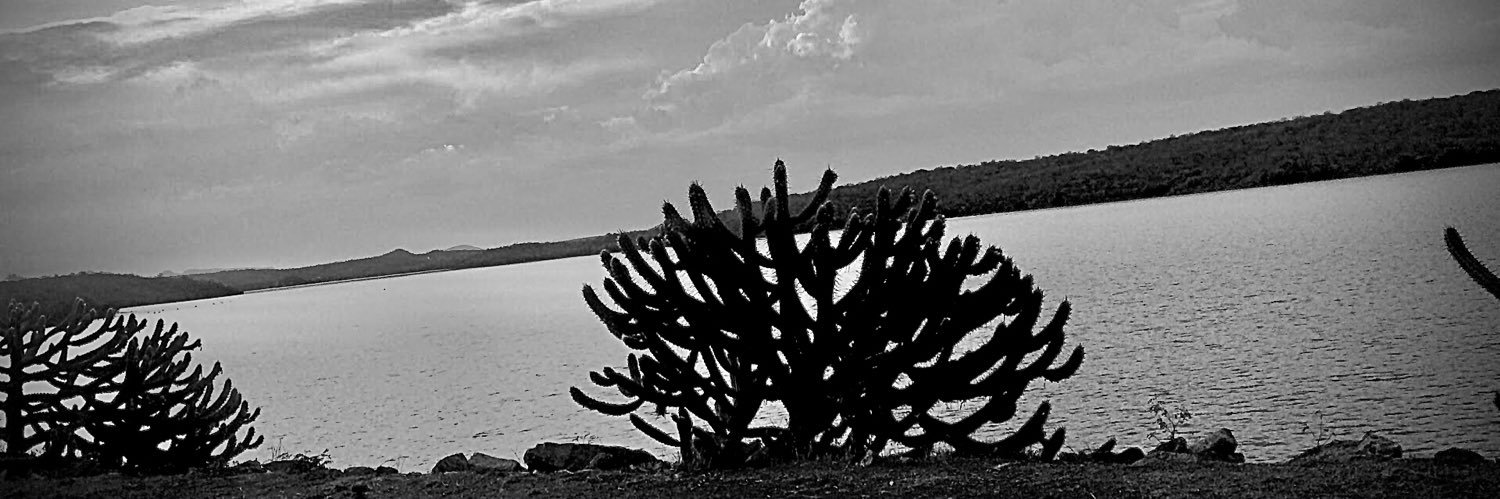 cesarnunes's profile banner image