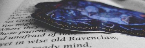 BiancaStefano's profile banner image