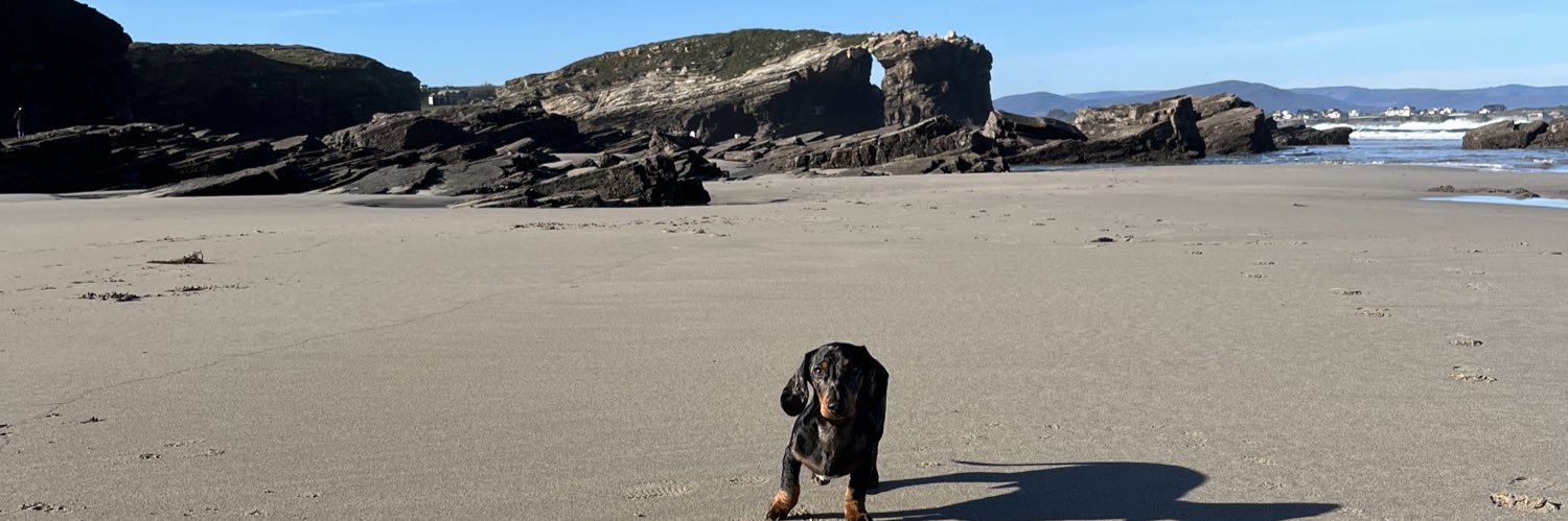 Jorge Romanillos banner