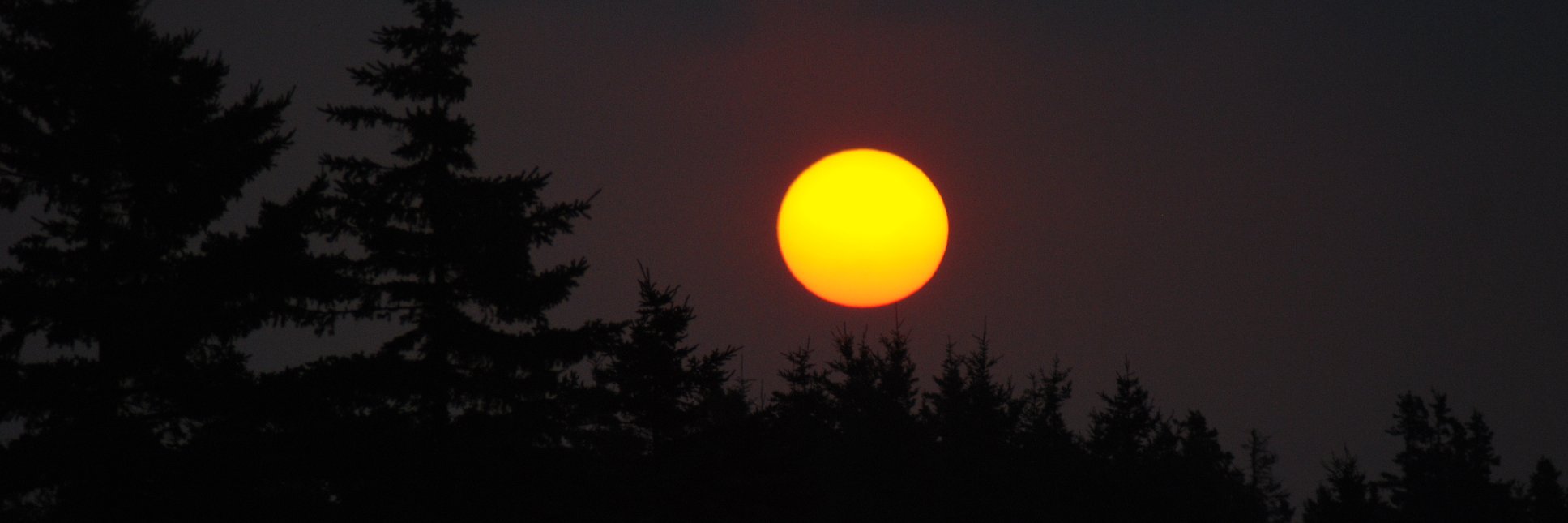 eyesfrontnorth's profile banner image