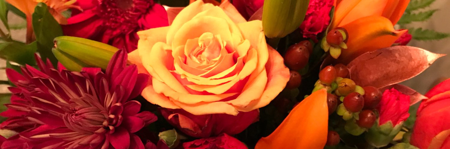 MichelleRegel's profile banner image