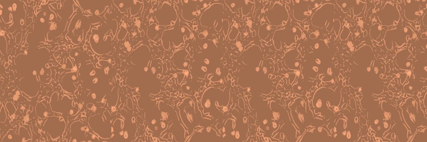 RutterAbigail's profile banner image