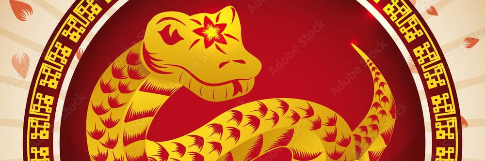 SuccessSnake28's profile banner image
