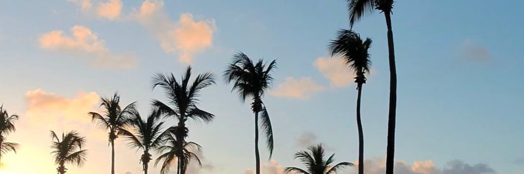 JoiaJordan's profile banner image
