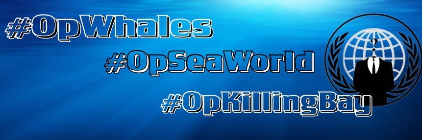 Anon4dolphins banner