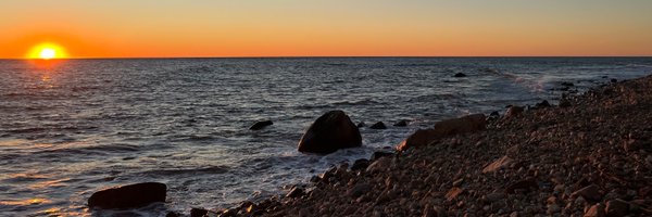 mvtweets Profile Banner