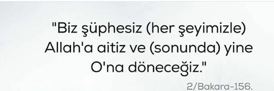 Sevgitanriseven's profile banner image