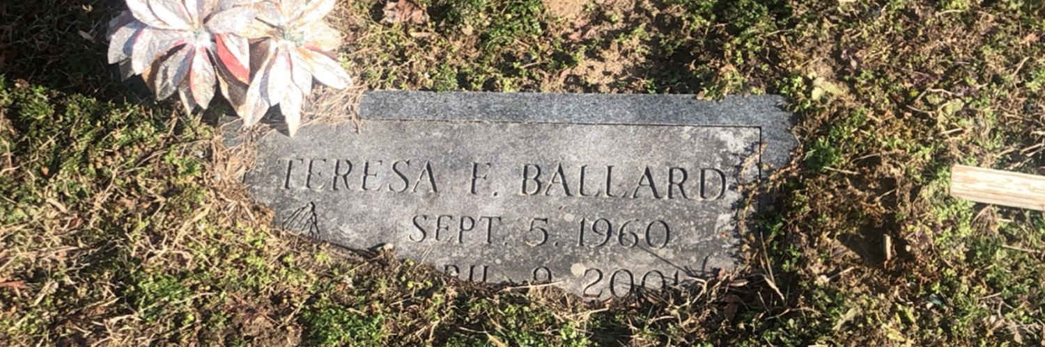 Dasia Cornish ⚠️ banner