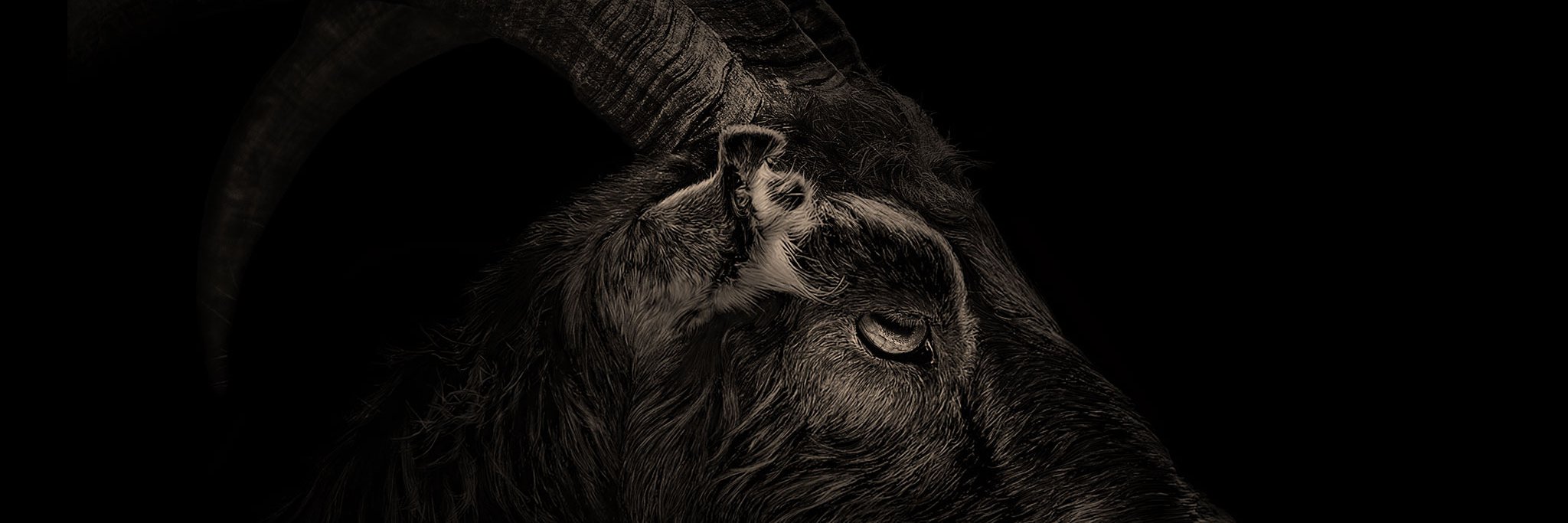 Insomne's profile banner image