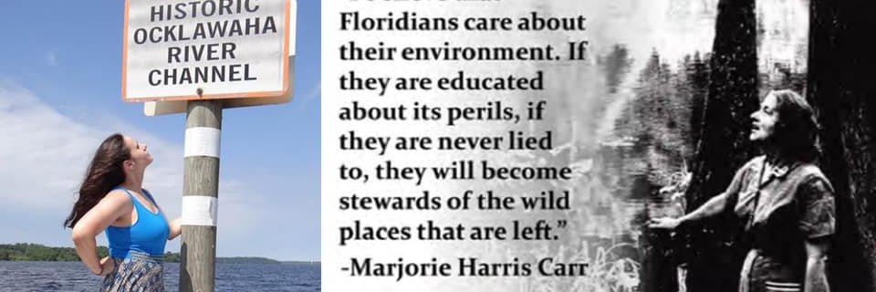 Florida Defenders banner