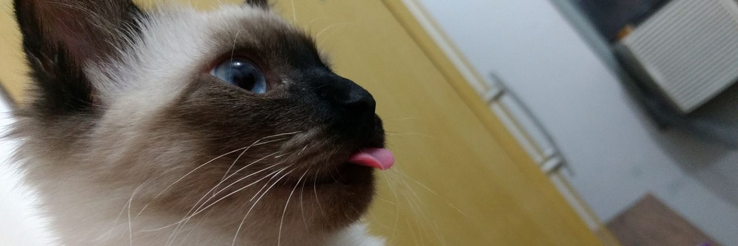 Selvinha_'s profile banner image