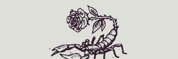 SDuqueeee's profile banner image