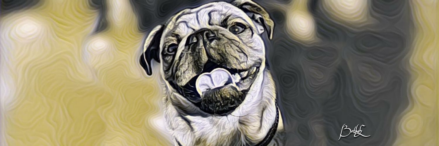 betha_echauri's profile banner image