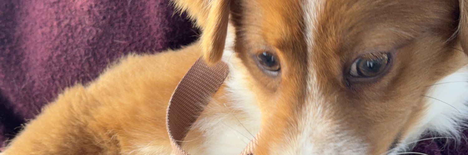 _cfcg_'s profile banner image