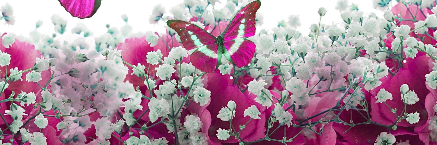 SundaraMarie's profile banner image
