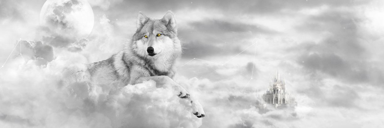 wildpinkmoon's profile banner image