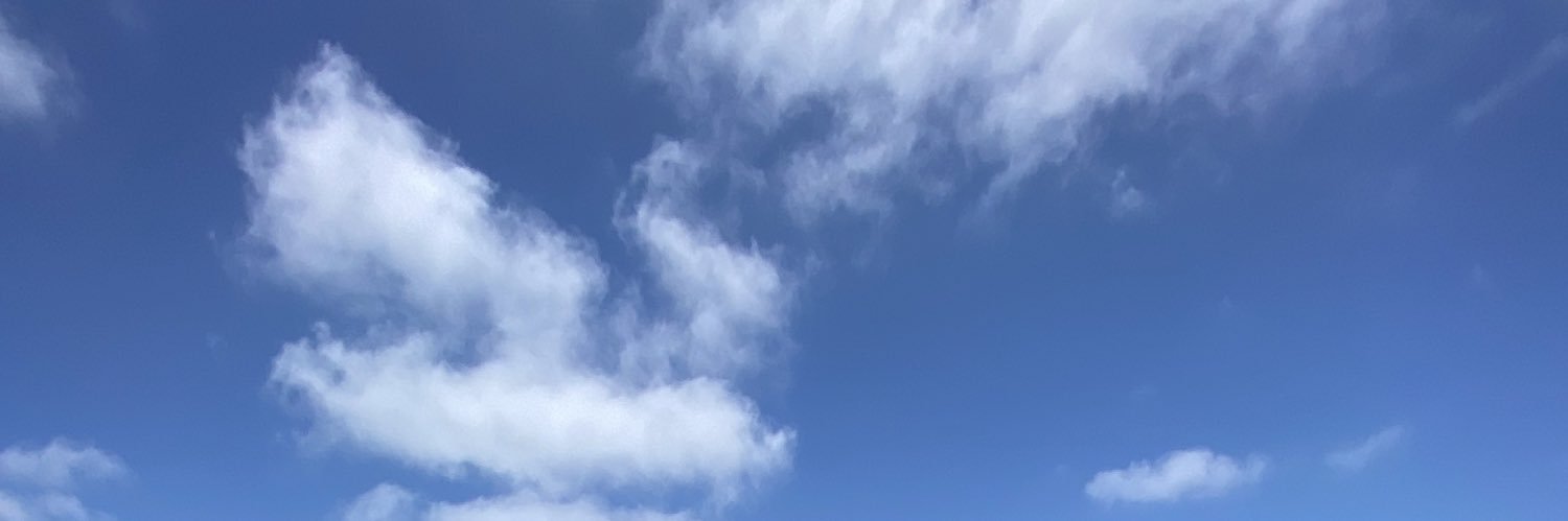 JoshSpiffy's profile banner image