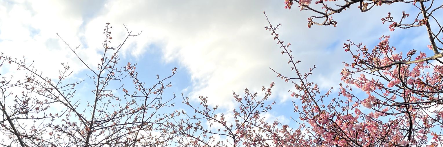YukineFuko's profile banner image