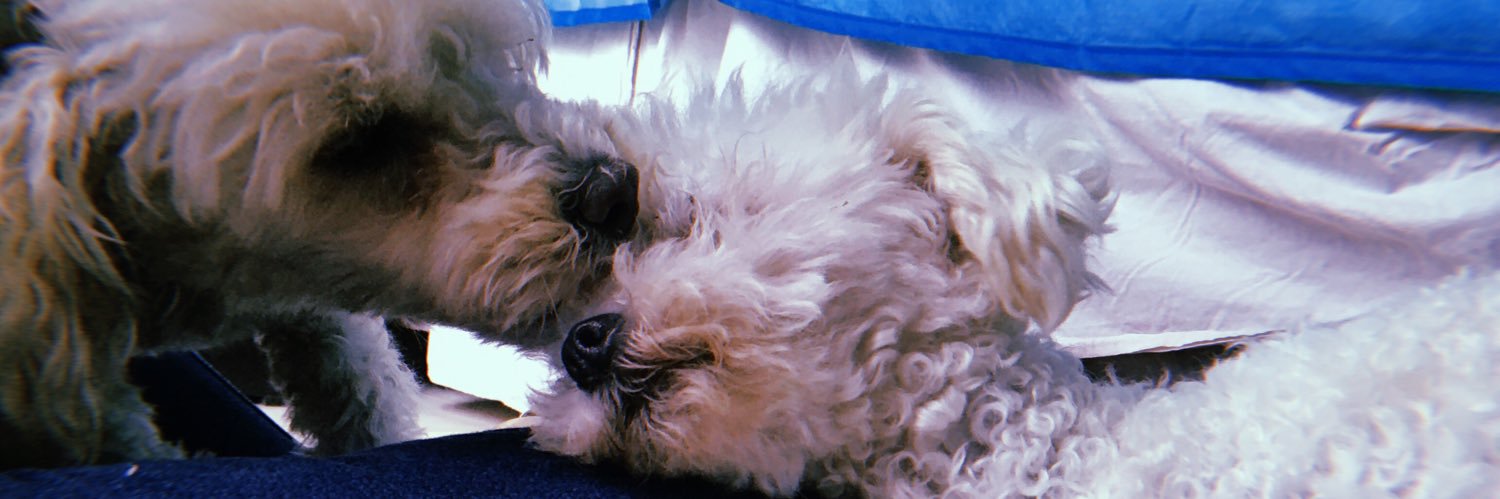 SoolEstrada's profile banner image