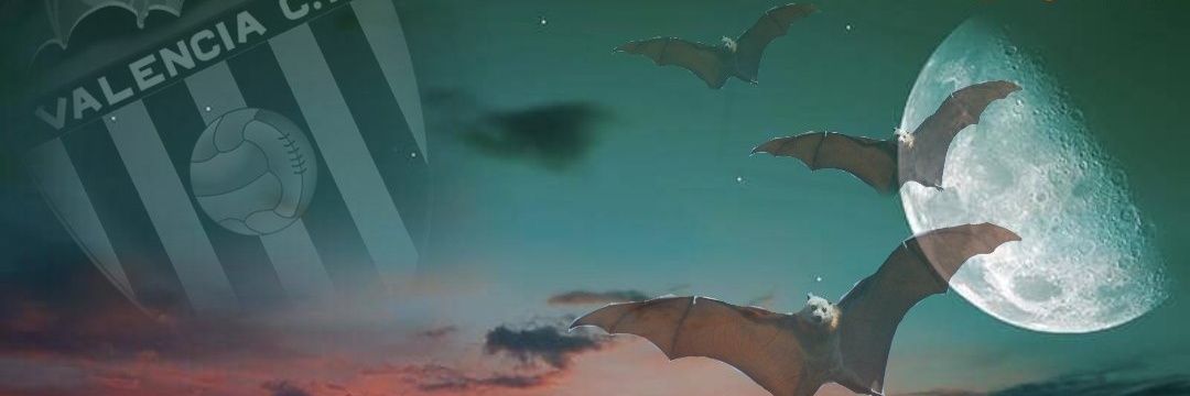 vmsvcf's profile banner image