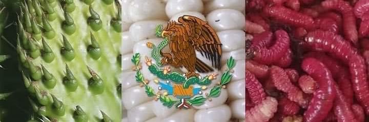 mexicano banner