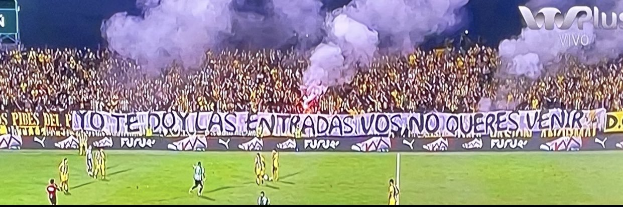 Bruno1891🖤💛 banner