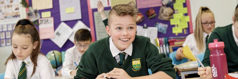 Widey Court Primary School banner