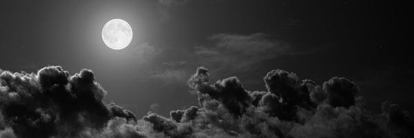 SGO_O Profile Banner