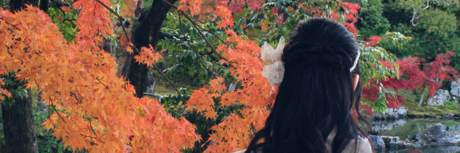 SoUm_taipoon's profile banner image