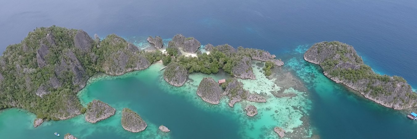 indowild's profile banner image