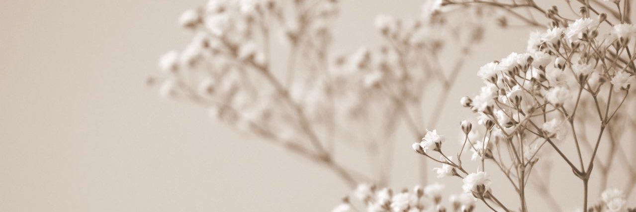 Ma. Fernanda D'Yongh banner