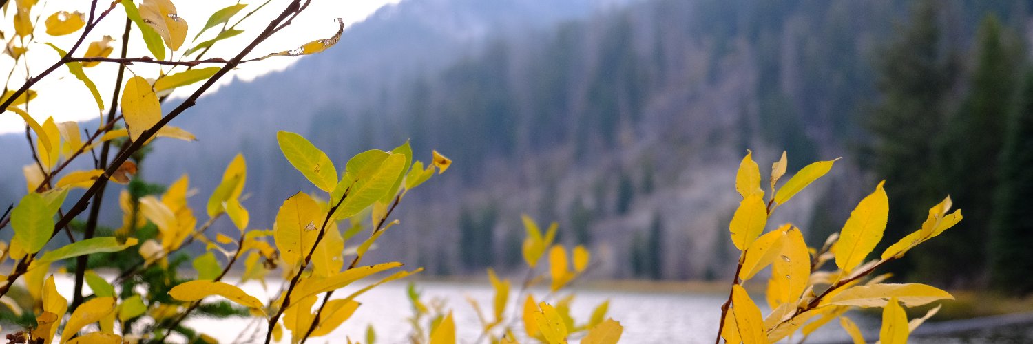 Hashtagsallday_'s profile banner image