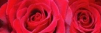 KkaylinW's profile banner image