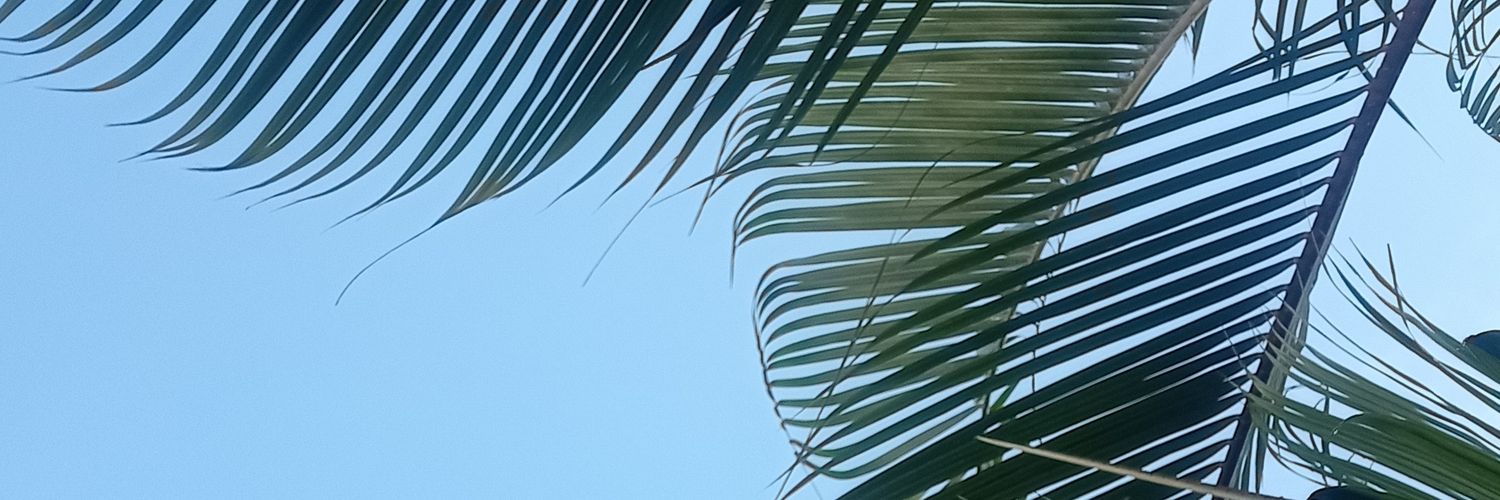 loretriniga's profile banner image