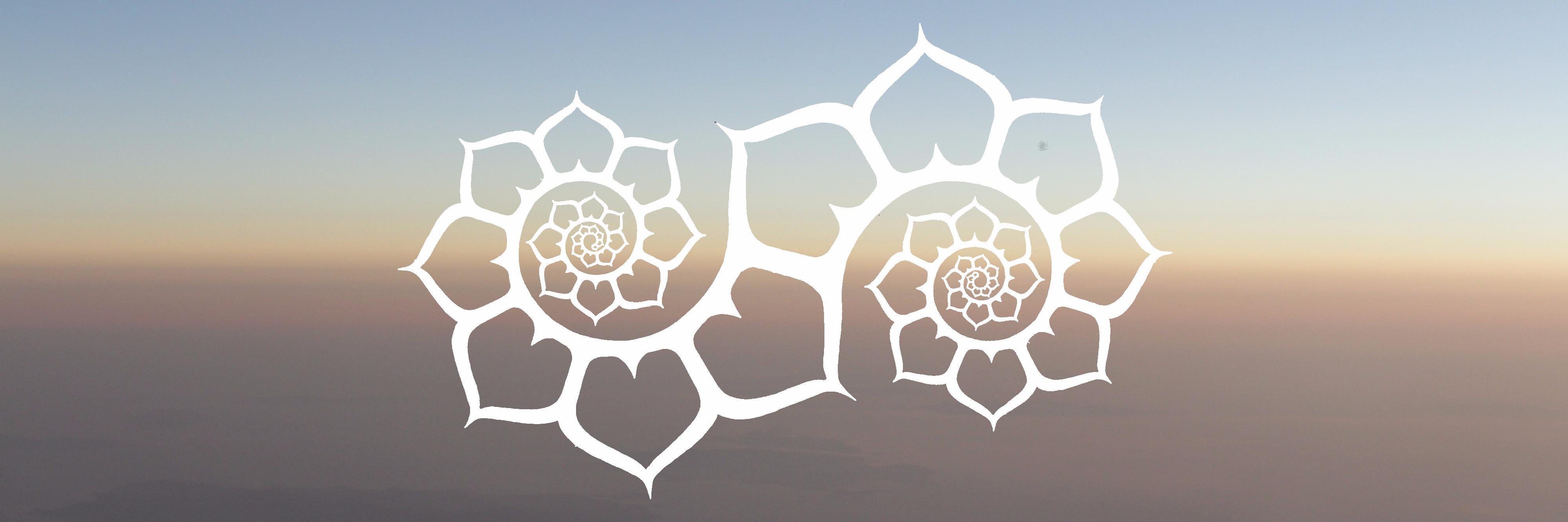 LotusFilms's profile banner image