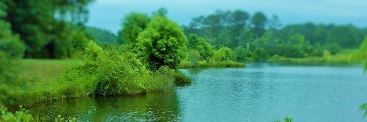 kathy_taylor's profile banner image