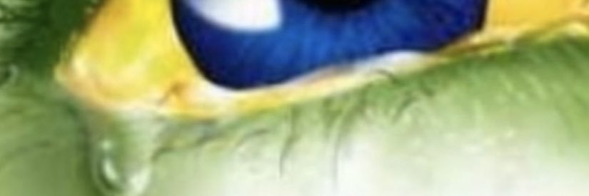FCaumo's profile banner image