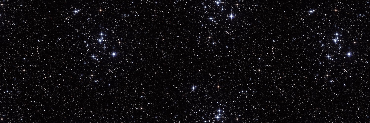 lonelyrib's profile banner image