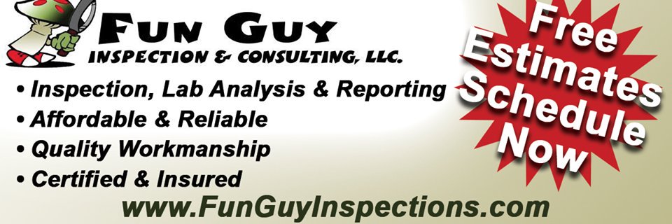 FunGuyInspection banner
