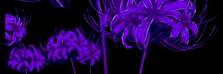 Rea_5432's profile banner image