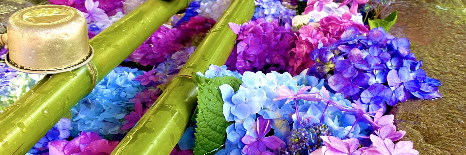 gesu4j's profile banner image