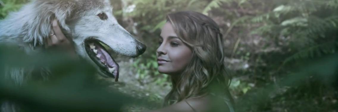 SindyReaction's profile banner image