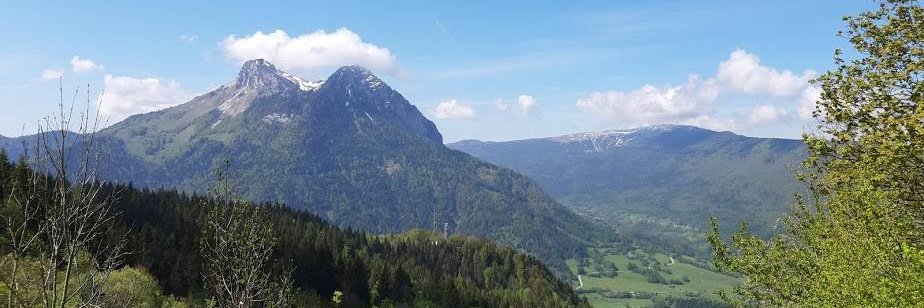 Javier Leandro Arancibia banner