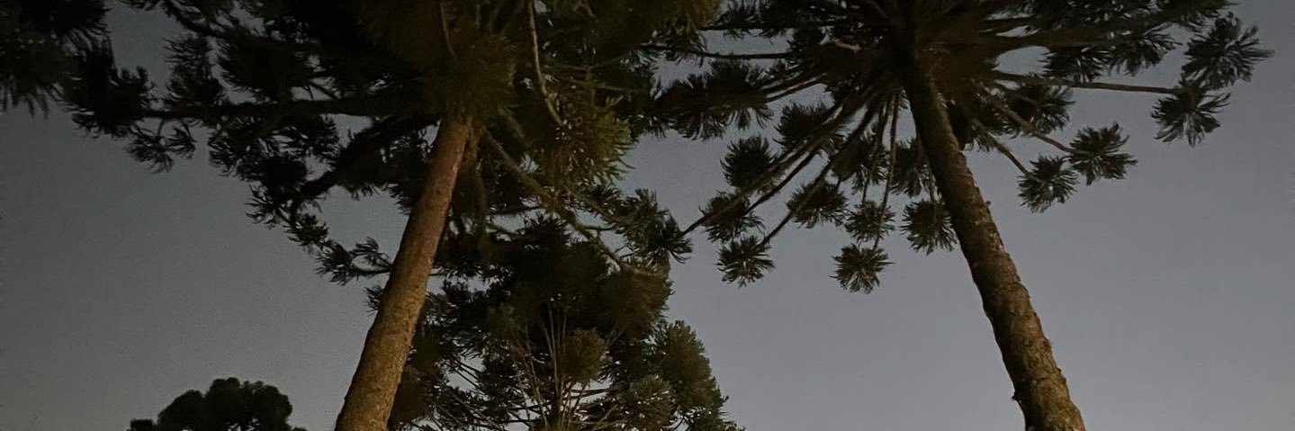 Requião Filho banner