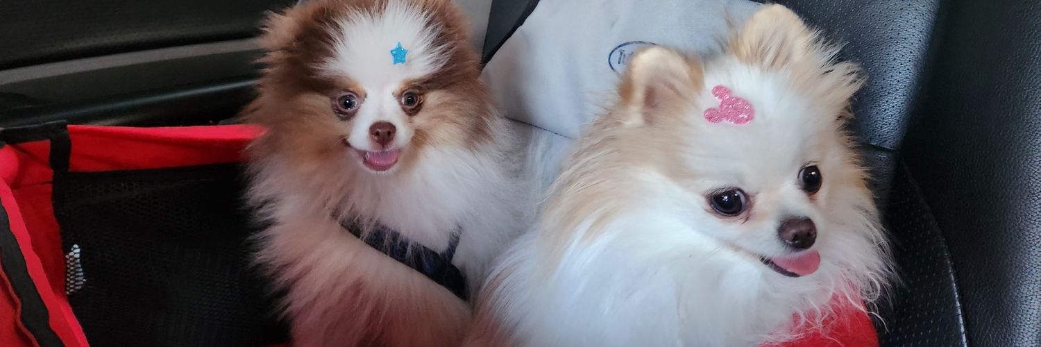 SilSouzza 🌪️🦋 banner